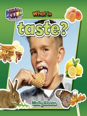 cover image of What is taste?